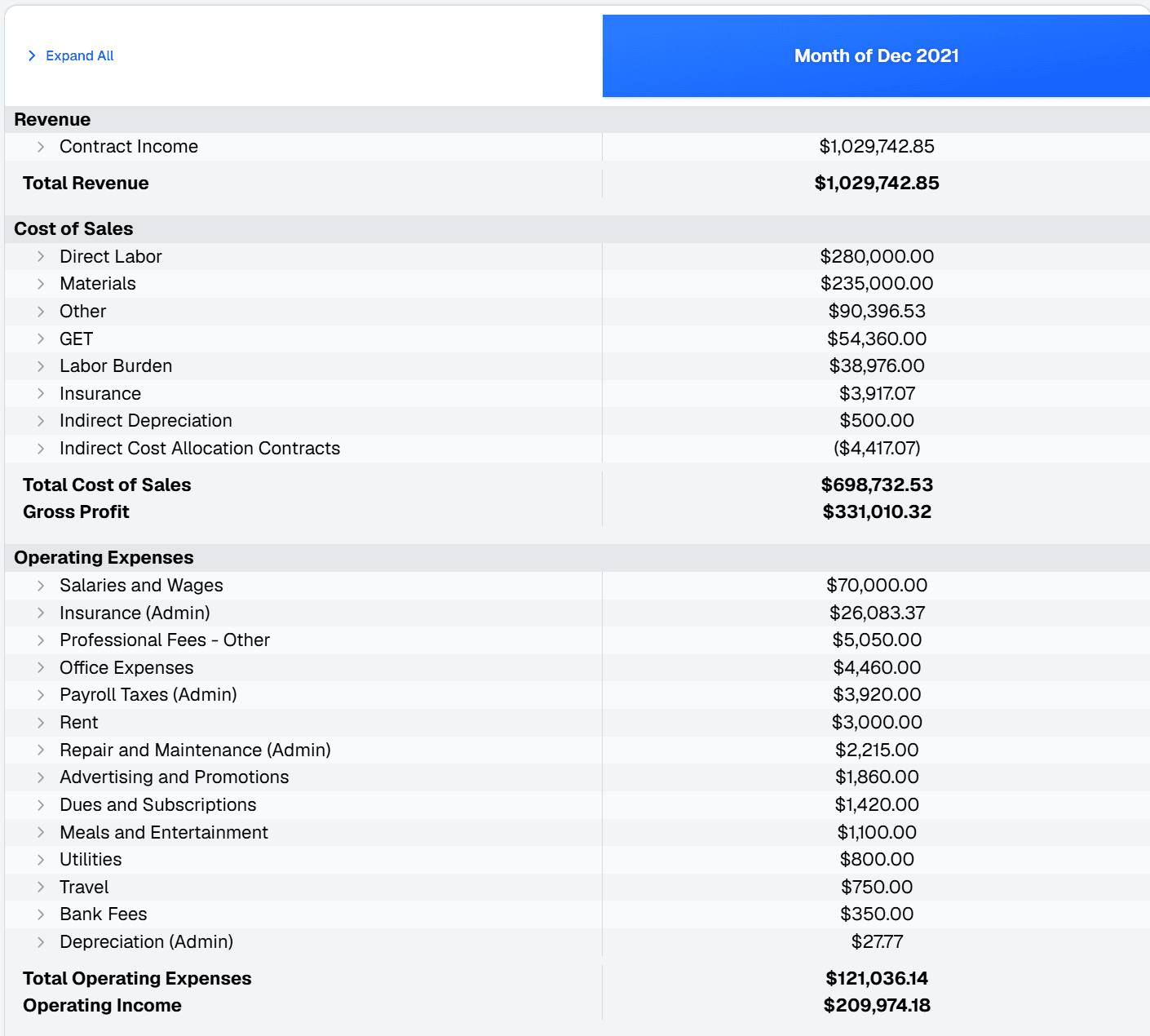 Income Statement screenshot
